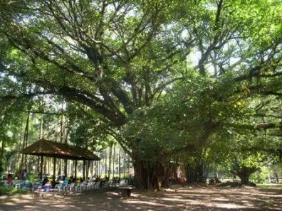 Apartamento com 3 Quartos à venda, 60m² no Parque das Árvores, São Paulo