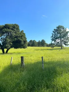 Lote/Terreno à venda, 500m² no Puris, Ibiúna