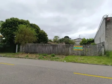 Lote/Terreno para alugar, 600m² no Centro, Pinhais