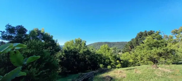 Fazenda/Sítio com 3 Quartos à venda, 120m² no , Nova Petrópolis