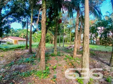 Lote/Terreno à venda, 24310m² no Iperoba, São Francisco do Sul