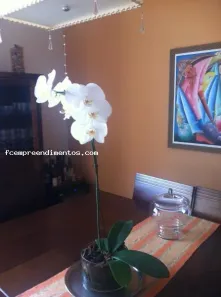 Apartamento com 4 Quartos à venda, 180m² no Centro, Limeira