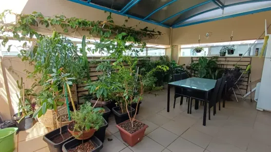 Cobertura com 4 Quartos à venda, 219m² no Norte, Brasília