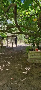 Casa com 1 Quarto à venda, 600m² no Arraial D'Ajuda, Porto Seguro