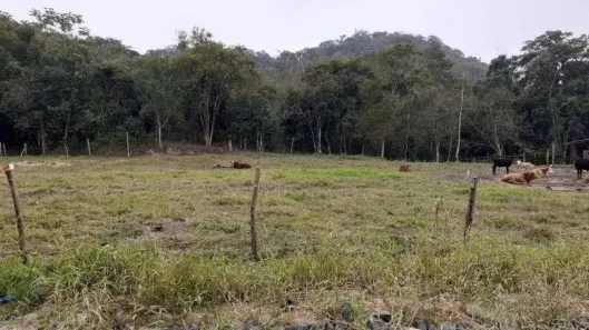 Lote/Terreno à venda, 15980m² no Caixa d'Água, Guaramirim