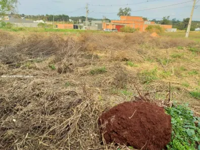 Lote/Terreno à venda, 450m² no Loteamento Residencial Portal do Lago, Cambé