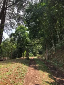 Lote/Terreno à venda, 77266m² no Recanto Natalino Bertoldo, Rio Grande da Serra