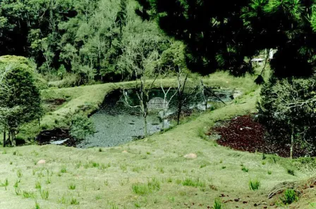 Fazenda/Sítio com 2 Quartos à venda, 46735m² no Itajacuru, Colombo