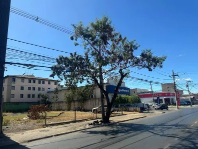 Lote/Terreno para alugar, 750m² no Cidade Nova, Montes Claros