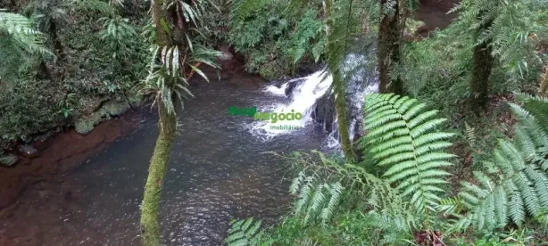 Fazenda/Sítio à venda, 266200m² no Centro, Cunha