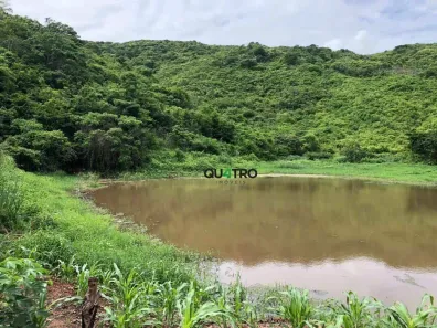 Fazenda/Sítio à venda, 150000m² no Redenção, Redenção