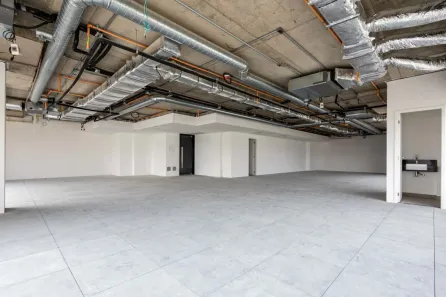 Ponto Comercial para alugar, 450m² no Ponte Pequena, São Paulo