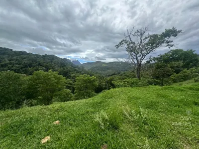 Lote/Terreno à venda, 236252m² no Pedro do Rio, Petrópolis