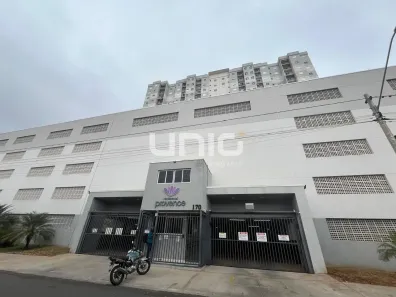 Apartamento com 2 Quartos para alugar, 55m² no Paulicéia, Piracicaba