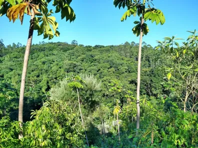 Fazenda/Sítio à venda, 195880m² no Pomerode Fundos, Pomerode
