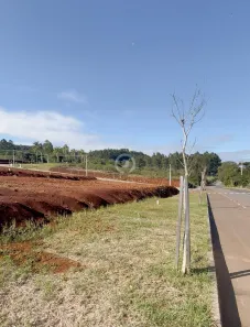 Lote/Terreno à venda, 300m² no Centro, Dois Irmãos