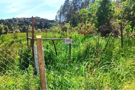 Fazenda/Sítio com 2 Quartos à venda, 12933m² no , Tijucas do Sul