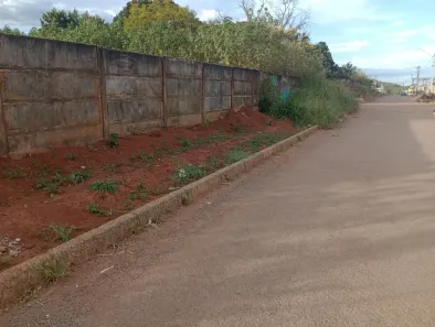 Lote/Terreno à venda, 1080m² no Parque Estrela Dalva IX, Luziânia