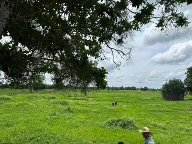 Fazenda/Sítio à venda, 800000m² no , Careiro da Várzea