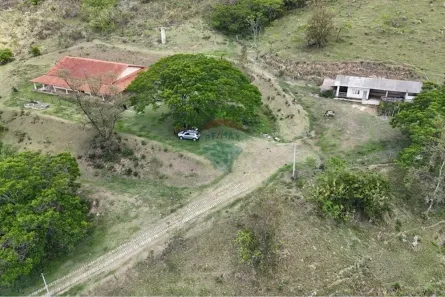 Fazenda/Sítio com 5 Quartos à venda, 68888m² no Jardim Brasil, Amparo