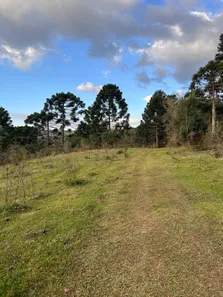 Fazenda/Sítio à venda, 20000m² no , Urubici