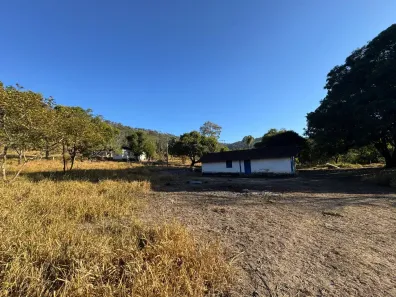 Fazenda/Sítio à venda, 30000m² no , Florestal