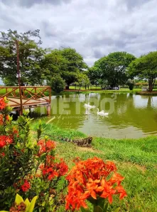 Lote/Terreno à venda, 450m² no Pedra do Lord, Juazeiro