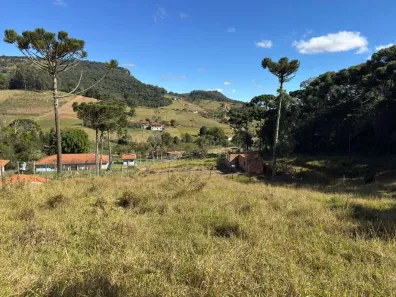 Lote/Terreno à venda, 1000m² no , Toledo