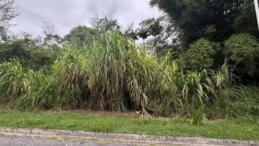 Lote/Terreno à venda, 481m² no Bosque das Mansões, São José