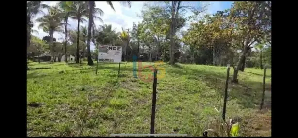 Lote/Terreno à venda, 38000m² no , Uruçuca