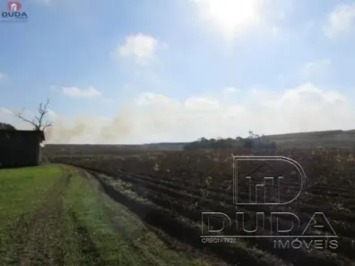 Lote/Terreno à venda, 30000m² no Cidade Alta, Forquilhinha