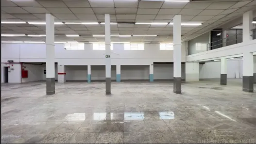 Galpão/Depósito/Armazém para alugar, 2995m² no Vila Paranaguá, São Paulo