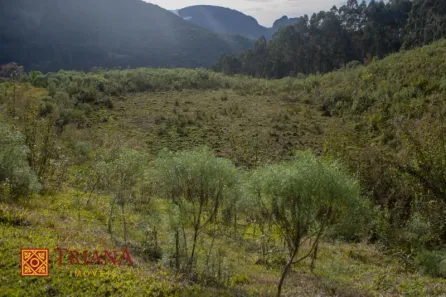 Lote/Terreno à venda, 195000m² no , Rio Rufino