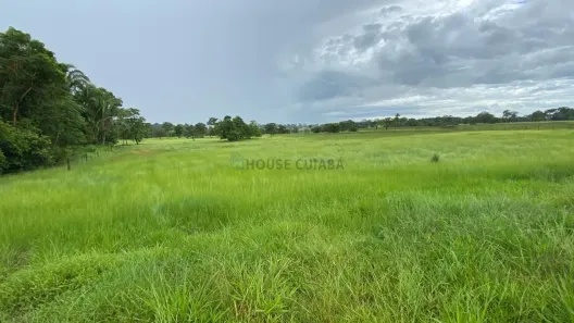 com 3 Quartos à venda, 120m² no , Juscimeira