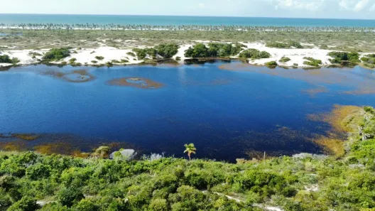 Lote/Terreno à venda, 600m² no Praia do Forte, Mata de São João