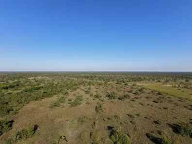 Fazenda/Sítio com 1 Quarto à venda, 15342800m² no , Cocalinho