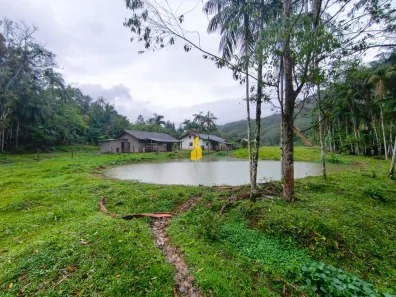 Fazenda/Sítio com 2 Quartos à venda, 7076m² no Dona Clara, Timbó