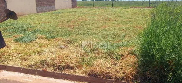 Lote/Terreno à venda, 200m² no Setvalley III, São José do Rio Preto