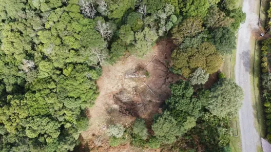 Lote/Terreno à venda, 1577m² no , Gramado