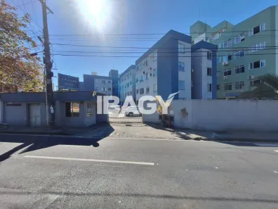 Apartamento com 3 Quartos para alugar, 58m² no Itacorubi, Florianópolis