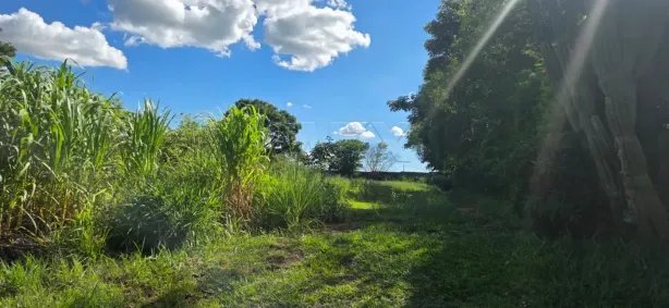 Fazenda/Sítio à venda, 5000m² no Centro, Agudos