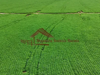 Fazenda/Sítio à venda, 1m² no Área Rural de Avaré, Avaré