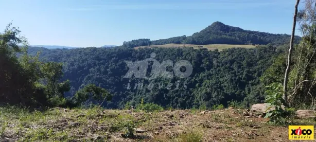 Fazenda/Sítio com 1 Quarto à venda, 22873m² no Dos Boêmios, Nova Petrópolis