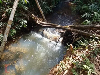 Fazenda/Sítio com 2 Quartos à venda, 50m² no Abadiânia, Abadiânia