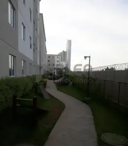 Apartamento com 2 Quartos à venda, 39m² no Jardim das Oliveiras, São Paulo