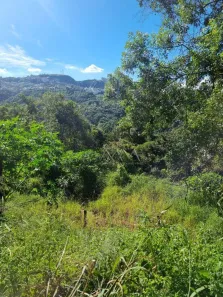 Lote/Terreno à venda, 2000m² no Vila Del Rey, Nova Lima