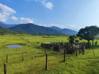 Fazenda/Sítio com 2 Quartos à venda, 160000m² no Área Rural de Cachoeiras de Macacu, Cachoeiras de Macacu