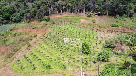 Fazenda/Sítio com 3 Quartos à venda, 20000m² no Varginha, Nova Friburgo