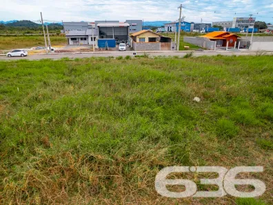 Lote/Terreno à venda, 240m² no Colégio Agrícola, Araquari