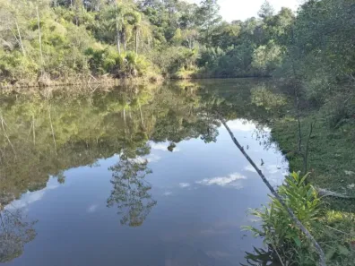 Fazenda/Sítio à venda, 726000m² no Bateias, Campo Largo